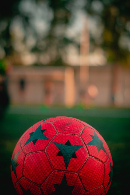 2022年卡塔爾世界杯亞洲球隊介紹.